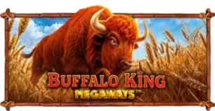 ภาพเกม Buffalo King Megaways ที่ lmb2 รวบรวมไว้